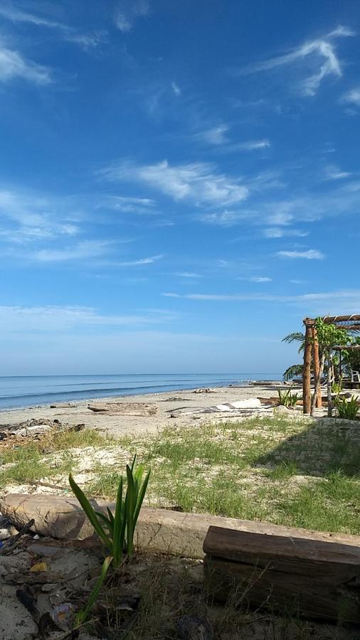 Urantia Beach Hostel & Camping San Onofre Екстериор снимка